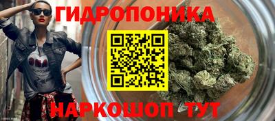 дурь Сланцы