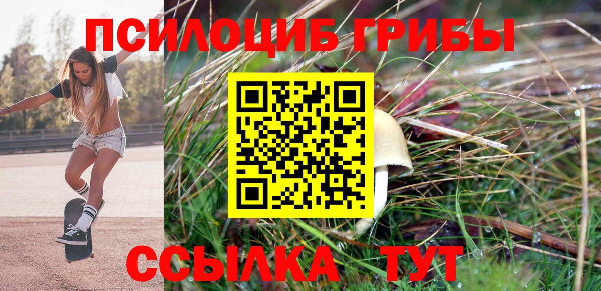 Псилоцибиновые грибы MAGIC MUSHROOMS  Вход с VPN  Новочебоксарск 