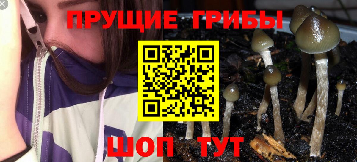 Галлюциногенные грибы ЛСД Новочебоксарск